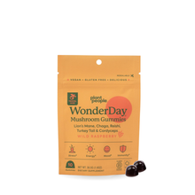 Load image into Gallery viewer, Grab-n-Go Size: WonderDay Mushroom Gummies
